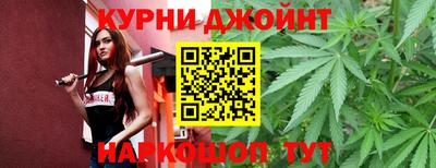 сатива Дубна