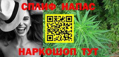 сатива Дубна