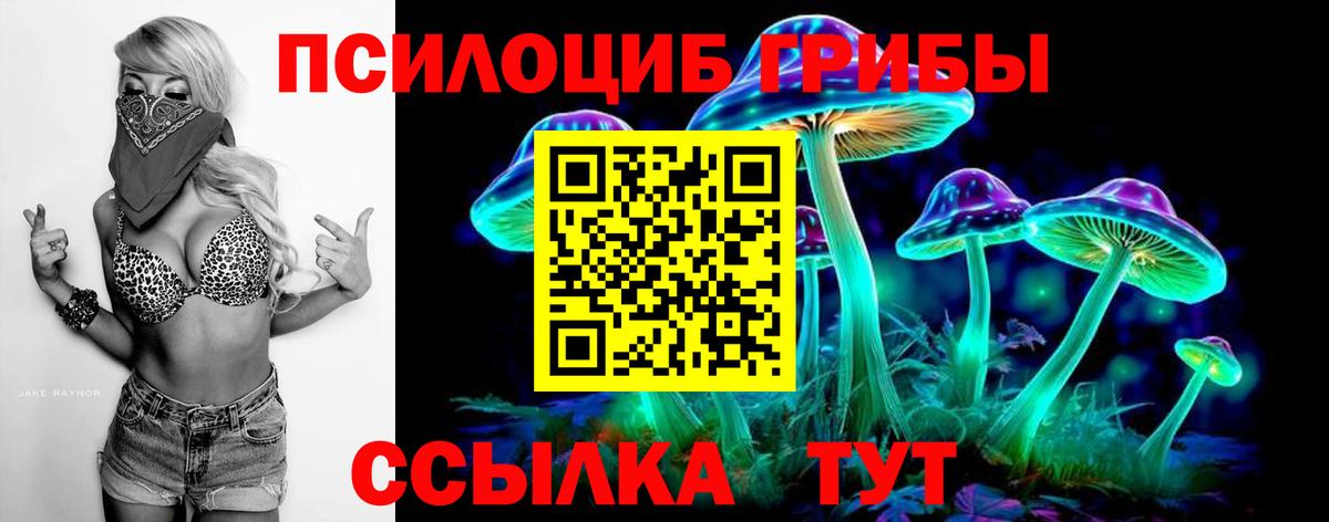 Галлюциногенные грибы Psilocybe  Вход с VPN  Псилоцибиновые грибы прущие грибы  Кандалакша 
